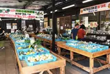 道の駅 阿蘇