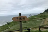 千枚田