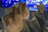 宮古島海宝館