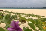 与那覇前浜ビーチ