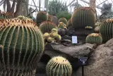 伊豆シャボテン公園
