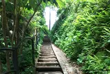 寄り道してみる