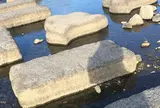 鴨川デルタ