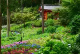 三室戸寺