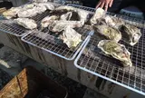 日生町漁協水産直売所 海の駅しおじ