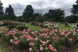 Royal Botanic Gardens, Kew