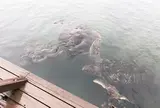 串本海中公園