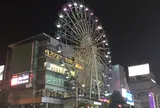 夜の栄