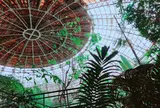 草津熱帯圏
