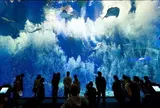 アクアワールド茨城県大洗水族館