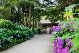 阿弥陀寺