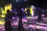 〔台場周辺〕デジタルアート ミュージアム（MORI Building Digital Art Museum: EPSON teamLab Borderless）