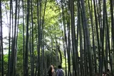 高台寺