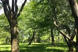 丸山公園
