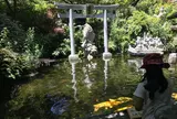 黄金池