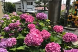 御霊神社