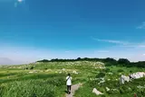 四国カルスト高原放牧場