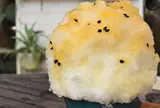喫茶ニワトリ