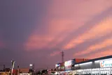 ケーズデンキ 茂原本店モール