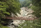 祖谷のかずら橋