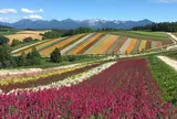 四季彩の丘