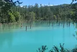 青い池
