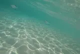 土盛海岸