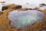 ハートロック