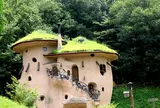 フィンランドの森