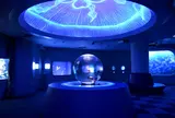 新江ノ島水族館