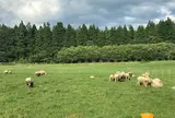 星と自然館