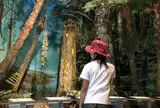 久慈琥珀（株） 久慈琥珀博物館
