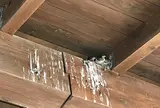 オドデ館
