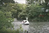 洗足池公園