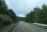 樹海ライン