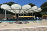 海ほおずき