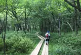 小田代ヶ原