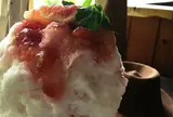 山猫