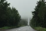 天に続く道