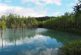 青い池
