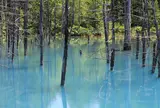 青い池
