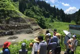 野外恐竜博物館