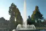 彩の森入間公園