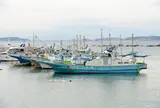 真名瀬海岸