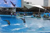 名古屋港水族館