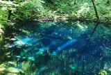アオーネ白神十二湖