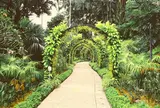 シンガポール植物園