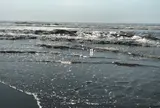 九十九里海岸