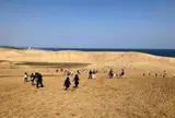 鳥取砂丘