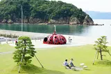 赤かぼちゃ